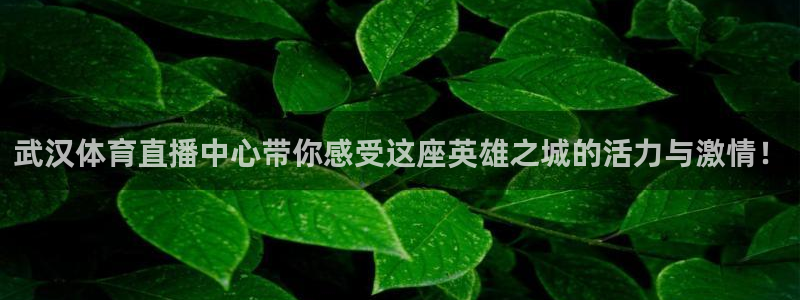 足球之绿茵球王：武汉体育直播中心带你感受这座英雄之城的活力与激情！