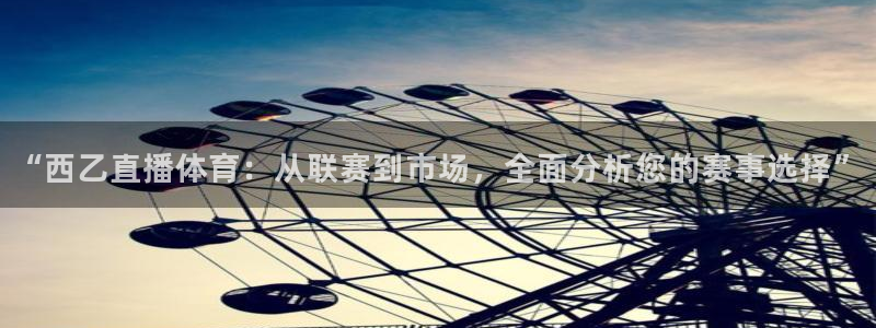 绿茵体育在线观看：“西乙直播体育：从联赛到市场，全面分析您的赛事选择”