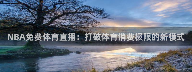 绿茵直播体育在线观看免费：NBA免费体育直播：打破体育消费极限的新模式