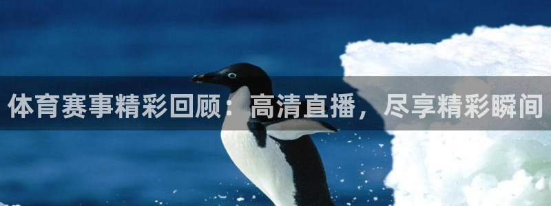 绿茵篮球直播在线观看：体育赛事精彩回顾：高清直播，尽享精彩瞬间