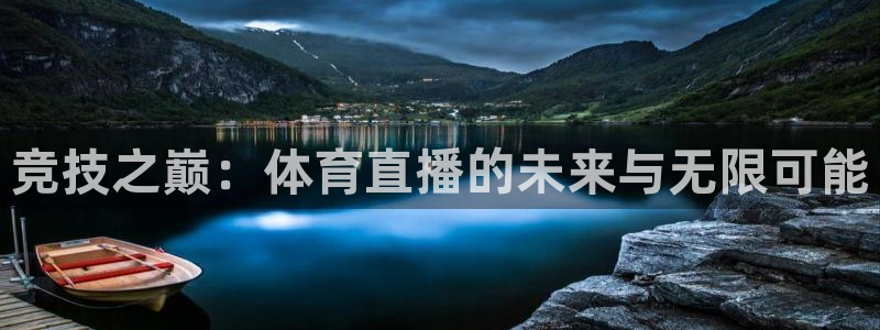 绿茵直播nba免费：竞技之巅：体育直播的未来与无限可能
