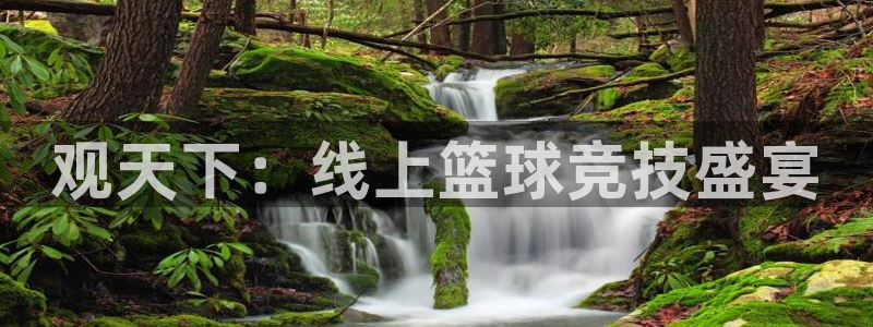 绿茵直播官网：观天下：线上篮球竞技盛宴