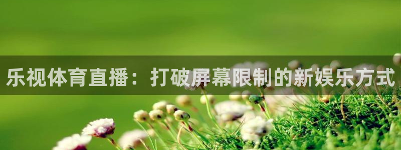 绿茵直播：乐视体育直播：打破屏幕限制的新娱乐方式